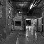 _DSC0333-1-quadrat-1-sw