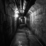 _DSC0320-1-quadrat-1-sw