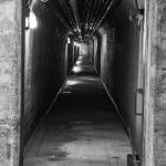 _DSC0328-1-quadrat-xsw