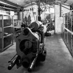 _DSC0284-1-quadrat-sw