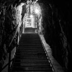 _DSC0308-1-quadrat-sw