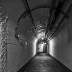 _DSC6535-1-quadrat-sw