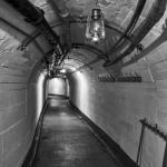 _DSC6536-1-quadrat-sw