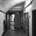 _DSC6514-1-quadrat-sw