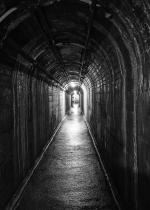 _DSC0238-1-d800-sw