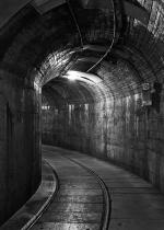_DSC0231-1-d800-1-sw