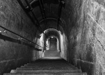 _DSC0237-1-d800-sw