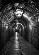 _DSC0233-1-d800-sw