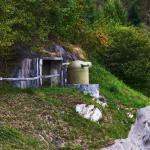 _DSC0394-1-d800-w1-w1