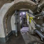 _DSC7031-1-d800-quadrat